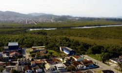 com-valor-de-mais-de-r$-329-milhoes,-novo-edital-de-licitacao-da-ponte-joinville-e-publicado