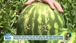 agricultura-em-crise:-granizo-deixa-rastro-de-destruicao-e-prejuizos-em-planalto-alegre