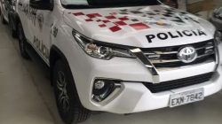 caso-de-policia:-caes-morrem-apos-serem-esquecidos-em-carro-de-pet-shop