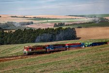 safra-do-milho-encolhe-em-sc-e-importacao-e-ameacada;-ferrovia-e-vista-como-“salvacao”