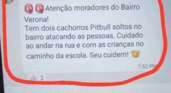 ‘cuidado-ao-andar-na-rua’:-pitbulls-soltos-atacam-2-pessoas-e-moradores-fazem-alerta