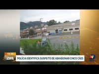 crimes-contra-animais:-policia-de-blumenau-identifica-responsavel-por-abandono-de-cinco-caes