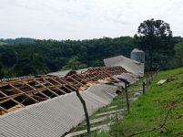 temporal-destroi-chiqueiro-com-550-porcos-e-deixa-prejuizo-de-r$-1-milhao-no-oeste-de-sc