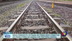 “oeste-nos-trilhos”-–-estrada-de-ferro-deve-conectar-os-produtores-de-graos-e-de-proteina-animal