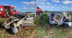 carro-colide-em-cachorro,-sai-da-pista-e-motorista-e-encaminhado-ao-hospital-no-sul-de-sc