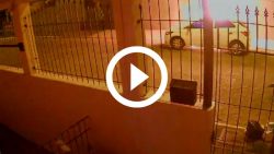 video:-homem-acusa-outra-pessoa-de-incendiar-veiculo-em-itajai,-mas-cameras-mostram-o-contrario