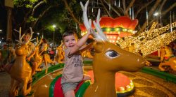 festas-animam-o-‘doce-natal’-em-bairros-de-biguacu;-confira-a-programacao