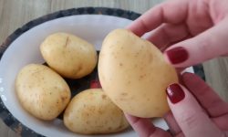 tipos-de-batata:-beneficios-e-como-usar-em-diferentes-receitas-saudaveis-para-variar-o-cardapio