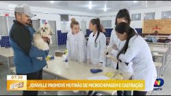 joinville-promove-mutirao-de-microchipagem-e-castracao-para-pets-neste-fim-de-semana