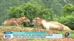 epagri-revela:-produtores-de-leite-catarinenses-lucram-mais-em-fevereiro!