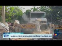 saiba-como-funciona-o-fumace-contra-a-dengue