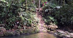 mulher-morre-afogada-durante-banho-em-cachoeira-de-itapema