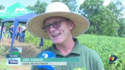 dia-de-campo-em-caxambu-do-sul:-agricultores-descobrem-novas-tecnicas-para-cultivo-de-soja