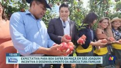 boas-perspectivas:-safra-de-maca-em-sao-joaquim-promete-impulsionar-agricultura-familiar