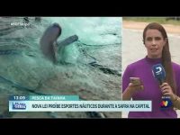 nova-lei-veta-esportes-nauticos-durante-periodo-de-pesca-em-florianopolis