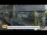 operacao-interdita-peixarias-do-mercado-publico-de-florianopolis:-impactos-na-comunidade