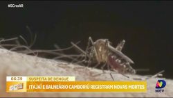 suspeita-de-dengue:-mortes-sao-registradas-em-itajai-e-balneario-camboriu