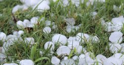 chuva-volumosa-e-queda-de-granizo:-santa-catarina-vive-novo-alerta-no-tempo;-o-que-esperar?