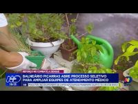 balneario-picarras-abre-processo-seletivo-para-equipe-medica-temporaria-no-combate-a-dengue