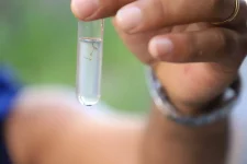 veja-quais-os-bairros-de-blumenau-registram-mais-focos-do-mosquito-da-dengue