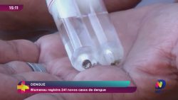 blumenau-registra-241-novos-casos-de-dengue